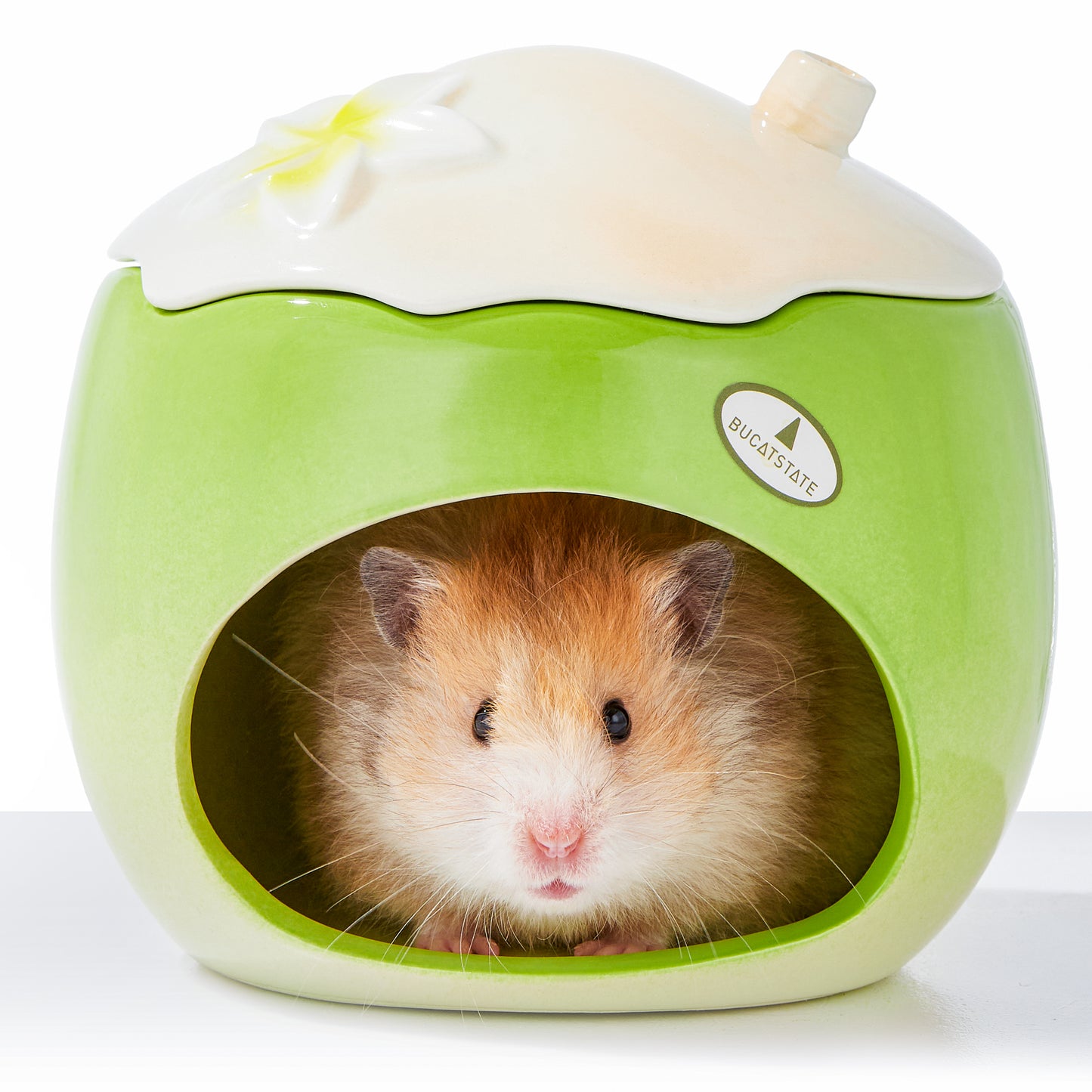 BUCATSTATE Ceramic Hamster Hideout All-Season Used Cute Fruit Design