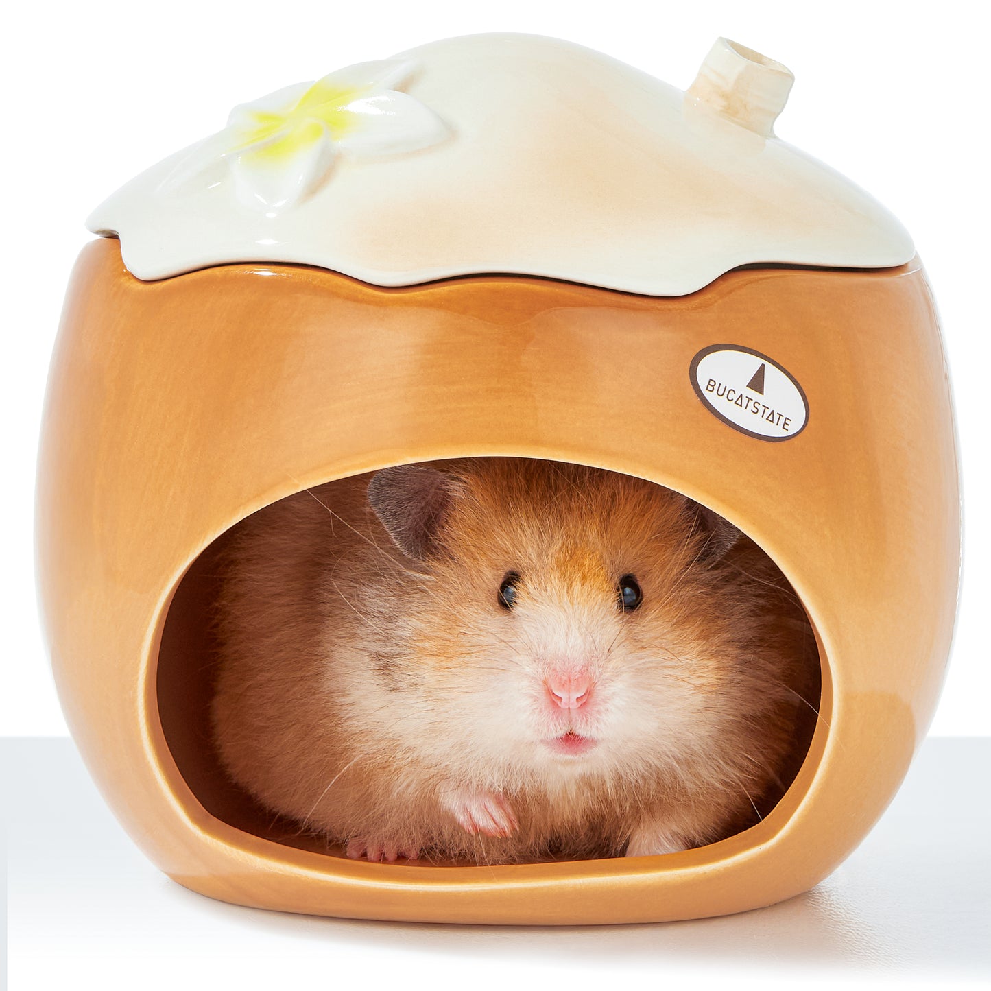 BUCATSTATE Ceramic Hamster Hideout All-Season Used Cute Fruit Design