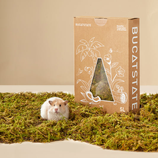 BUCATSTATE 5L Hamster Bedding, Natural Forest Moss Hamster Bedding Odor Control, Nature Hamsters Substrate Cage Accessories for Dwarf Syrian Hamsters, Mice, Gerbils (Dried Moss)
