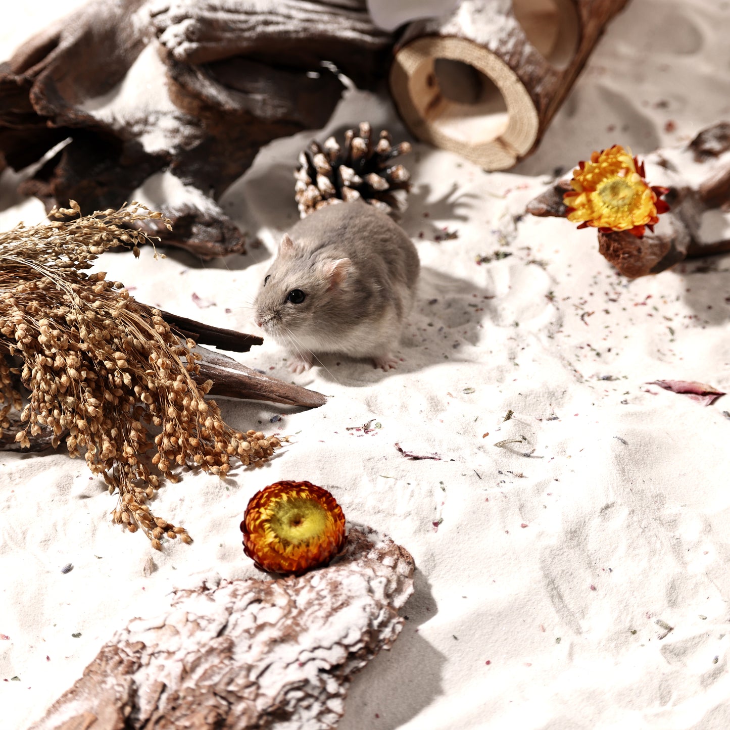 BUCATSTATE Hamster Bath Sand