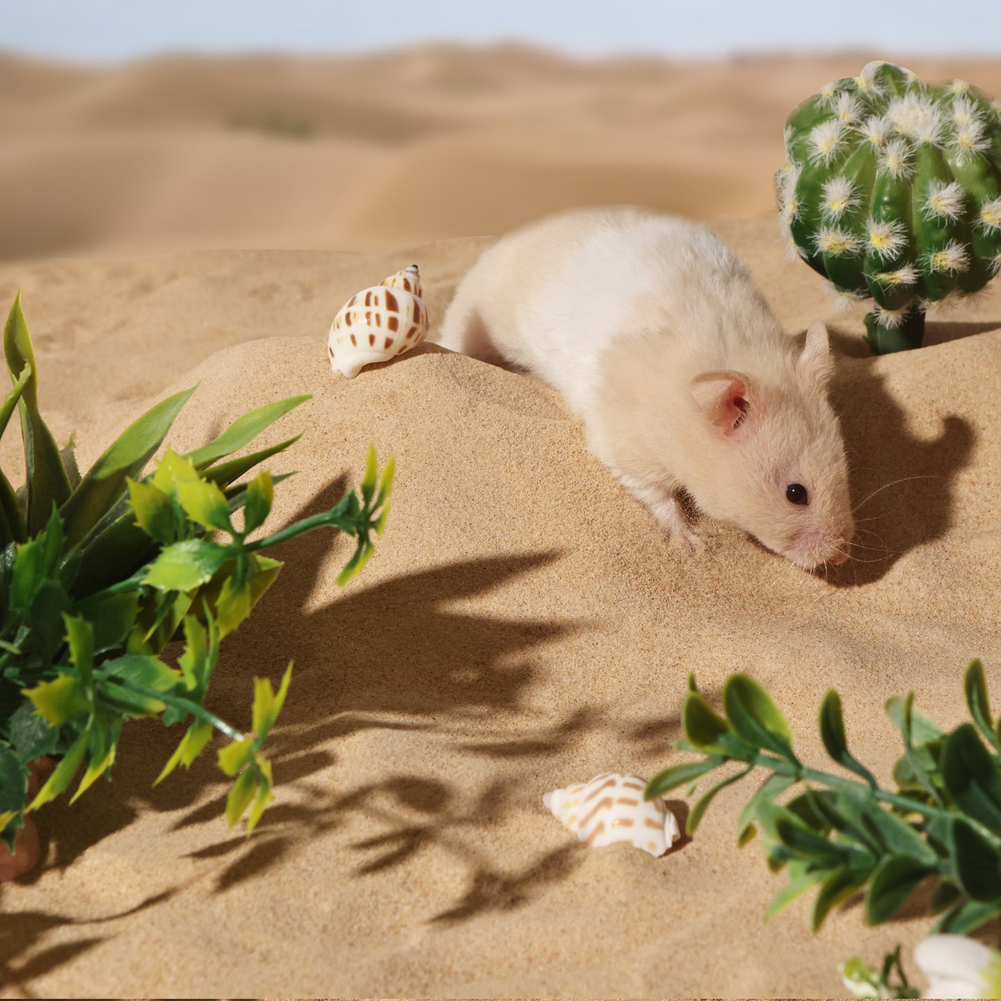 BUCATSTATE Hamster Bath Sand