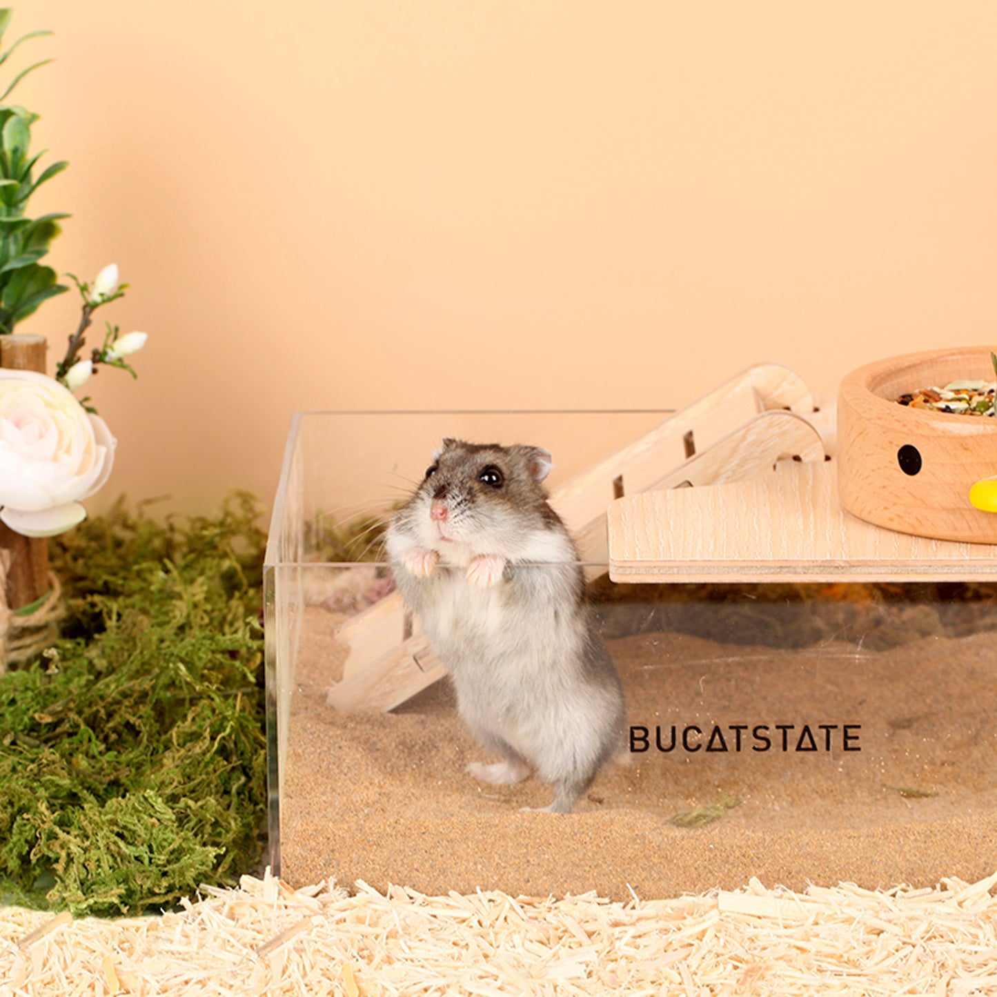 BUCATSTATE Hamster Sand Bath Container Acrylic with Ladder