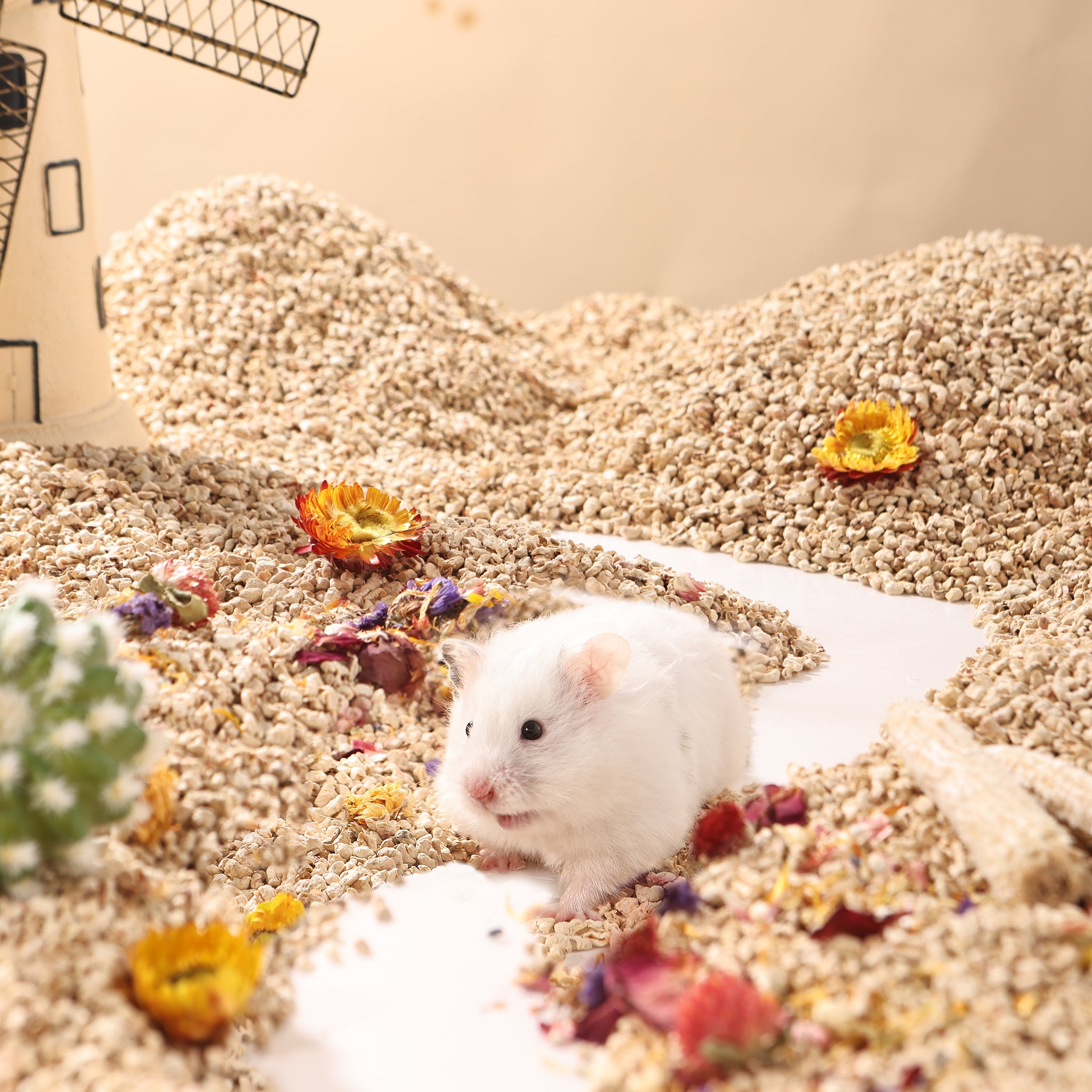 Corn cob bedding for hamsters Clearance