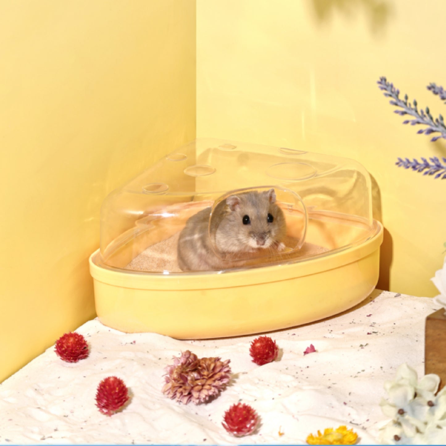 BUCATSTATE Hamster Sand Bath Container Cute Cheese Shaped