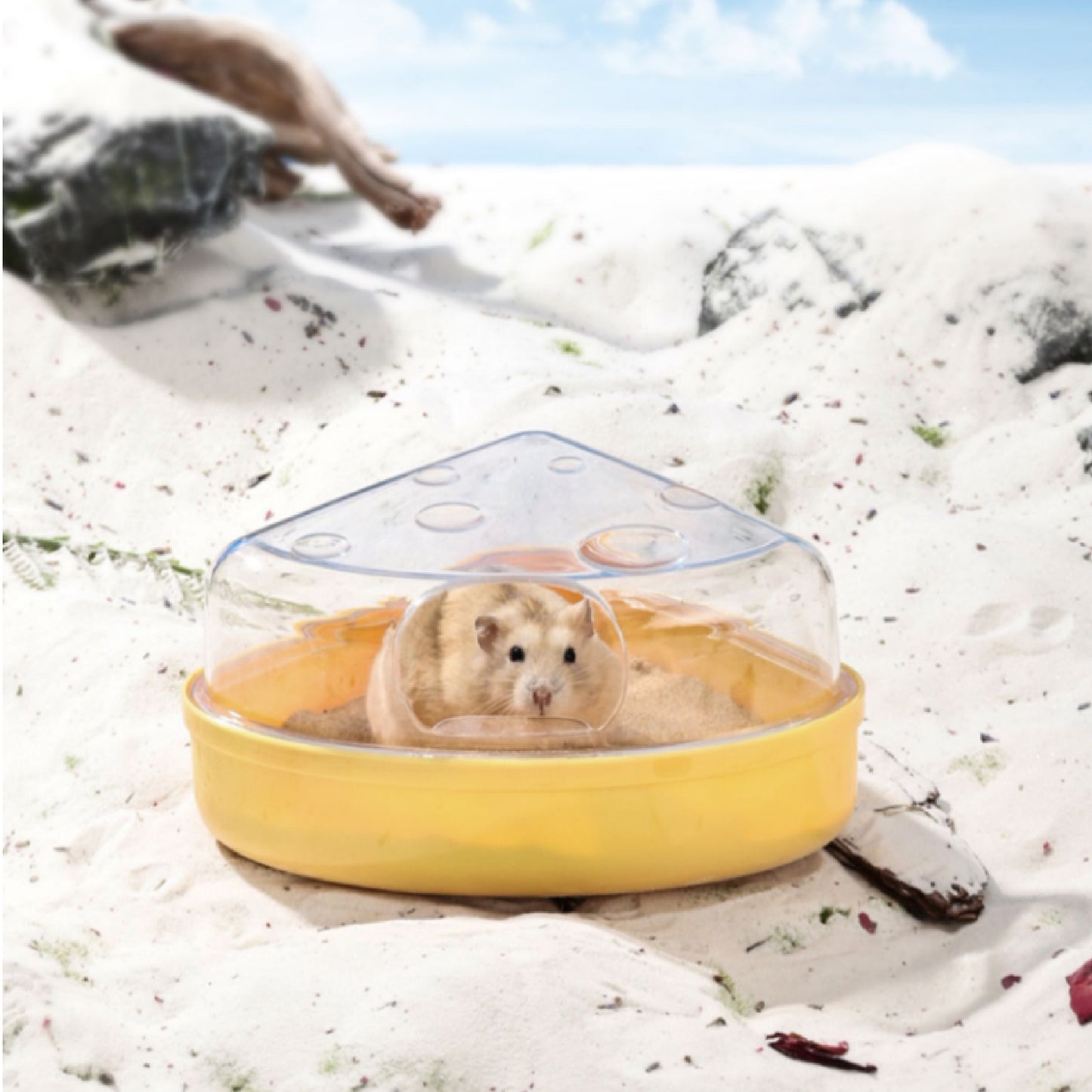 BUCATSTATE Hamster Sand Bath Container Cute Cheese Shaped