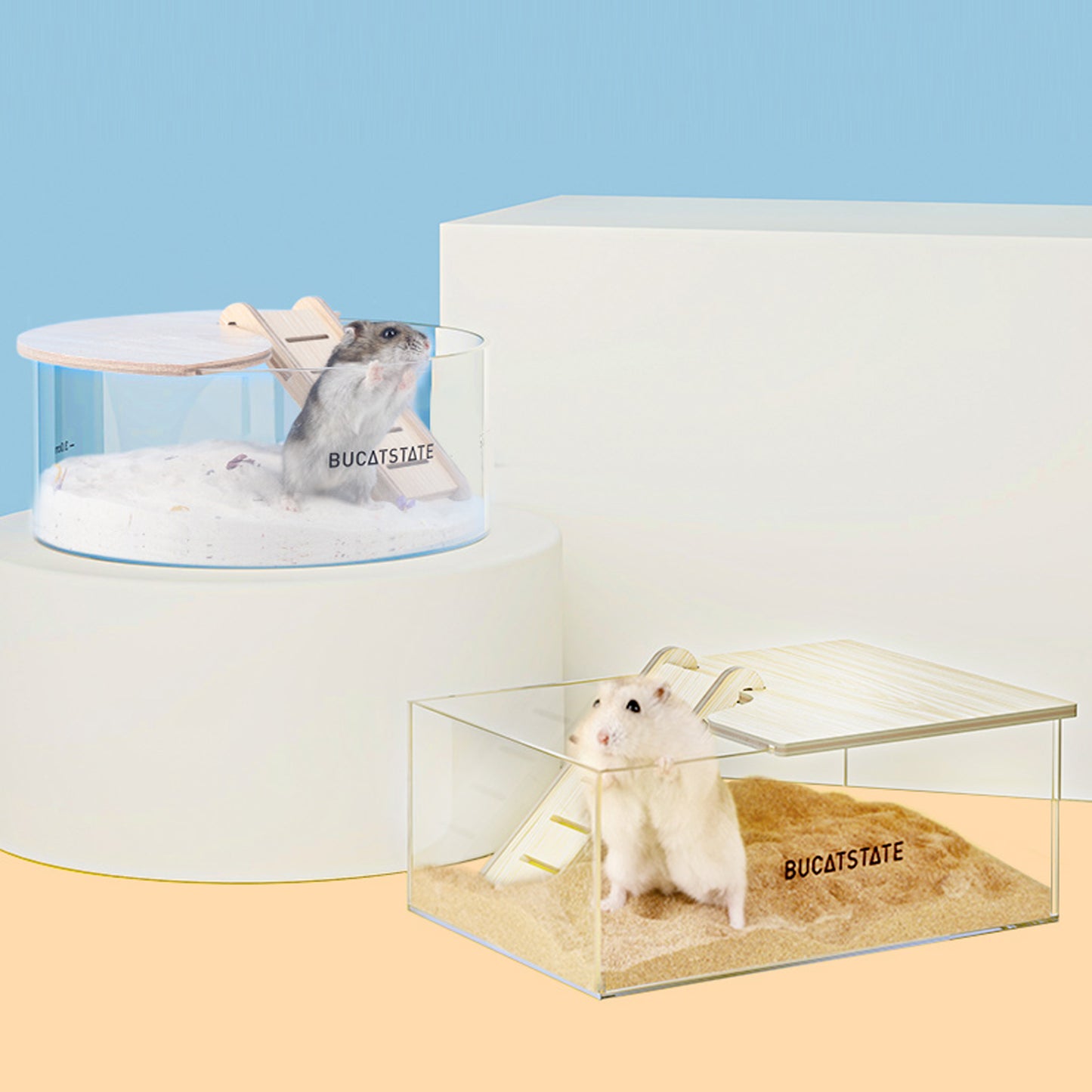 BUCATSTATE Hamster Sand Bath Container Acrylic with Ladder