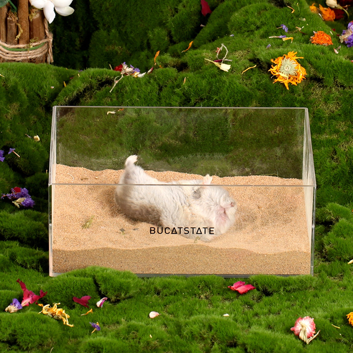BUCATSTATE Hamster Sand Bath Container Acrylic with Ladder