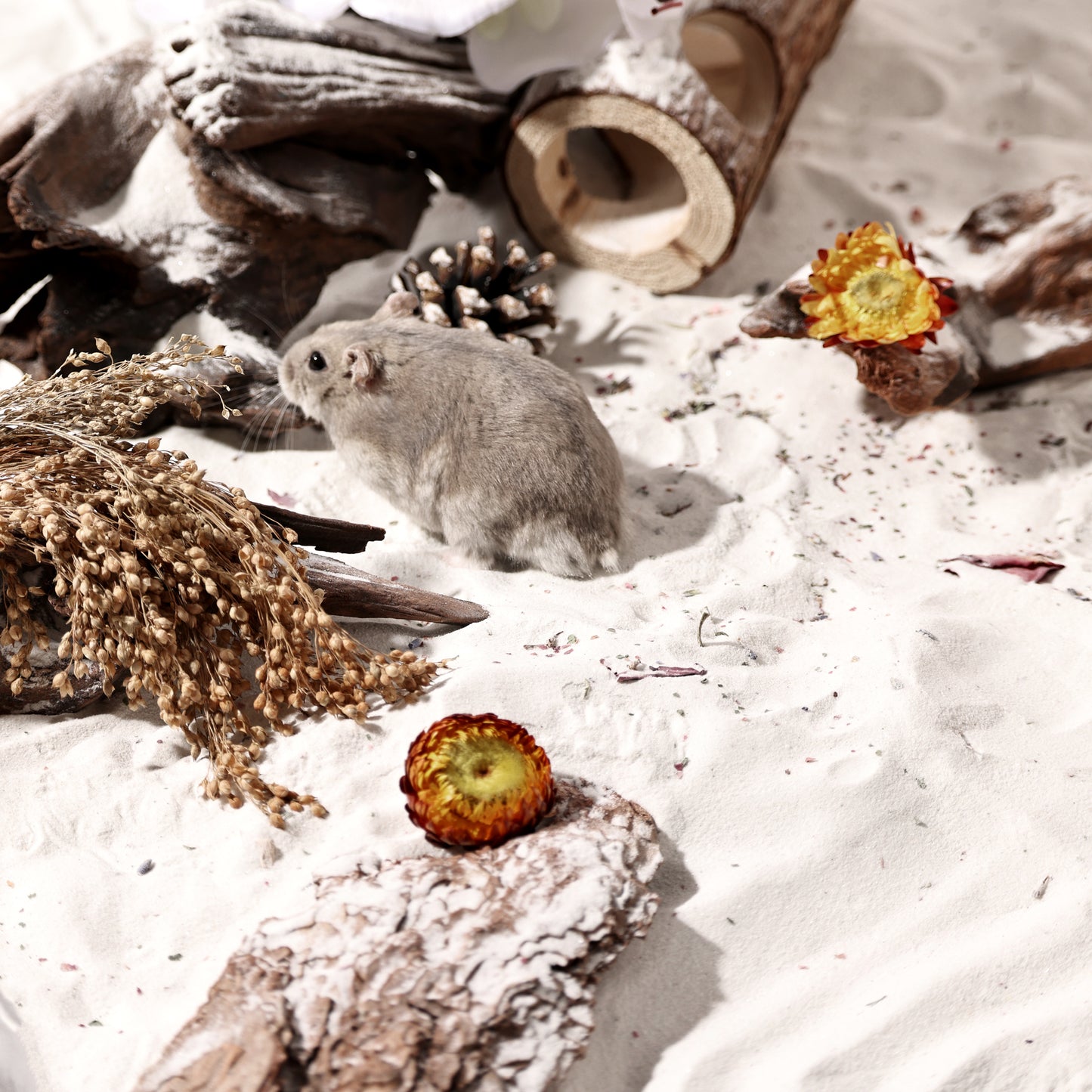 BUCATSTATE Hamster Bath Sand