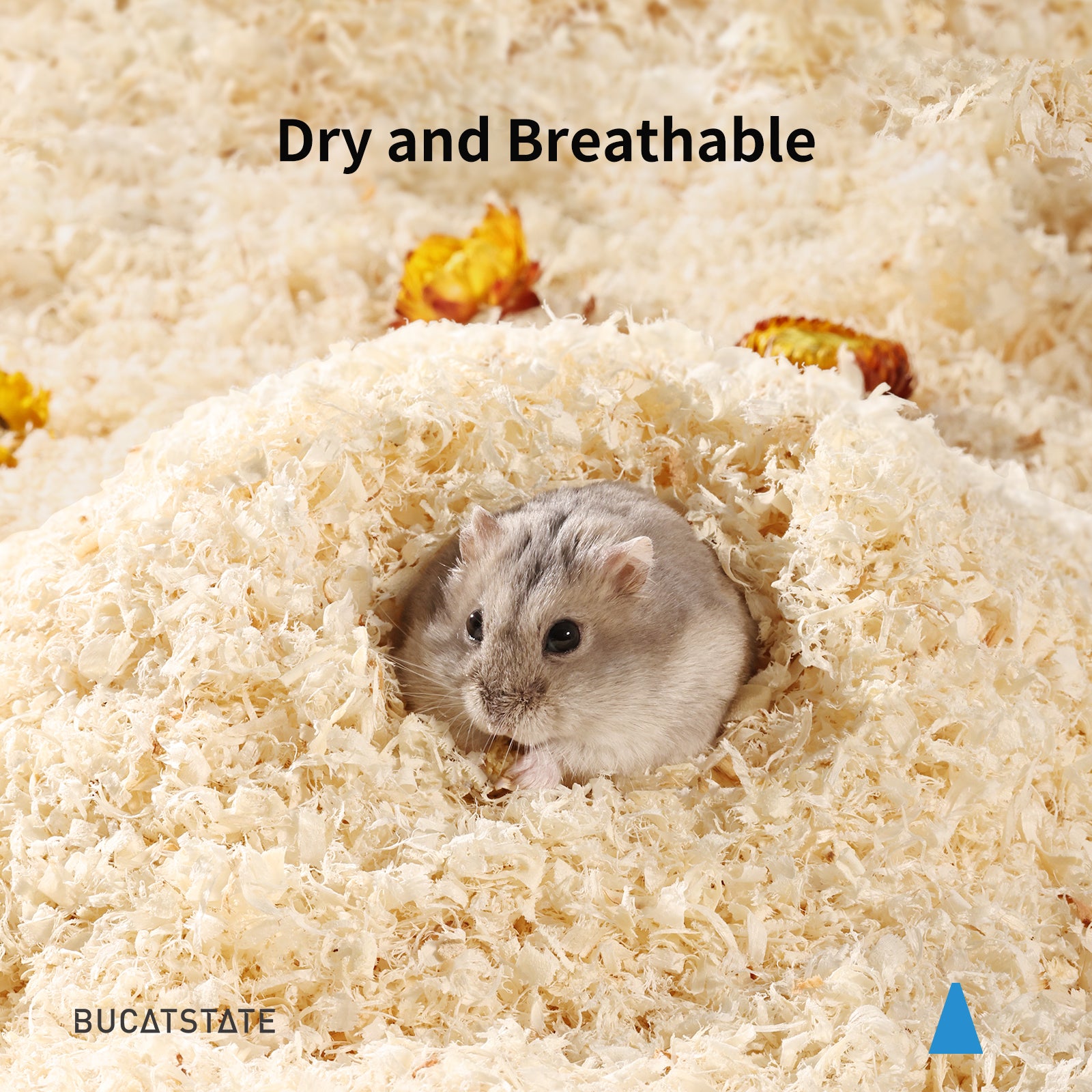 Hamster clearance wood shavings