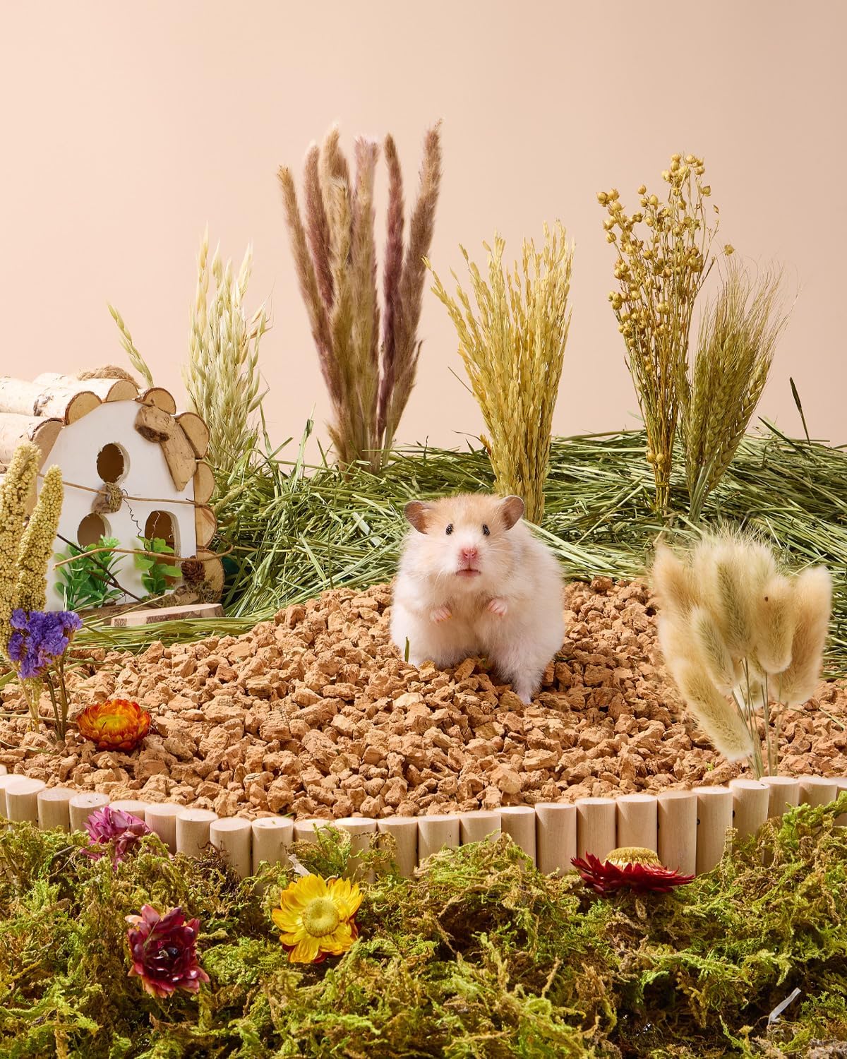 BUCATSTATE  Nature Flower Herb Hamster Bedding Cage Habitat Decor Grain Sprays for Syrian Dwarf Hamsters Gerbils Mice