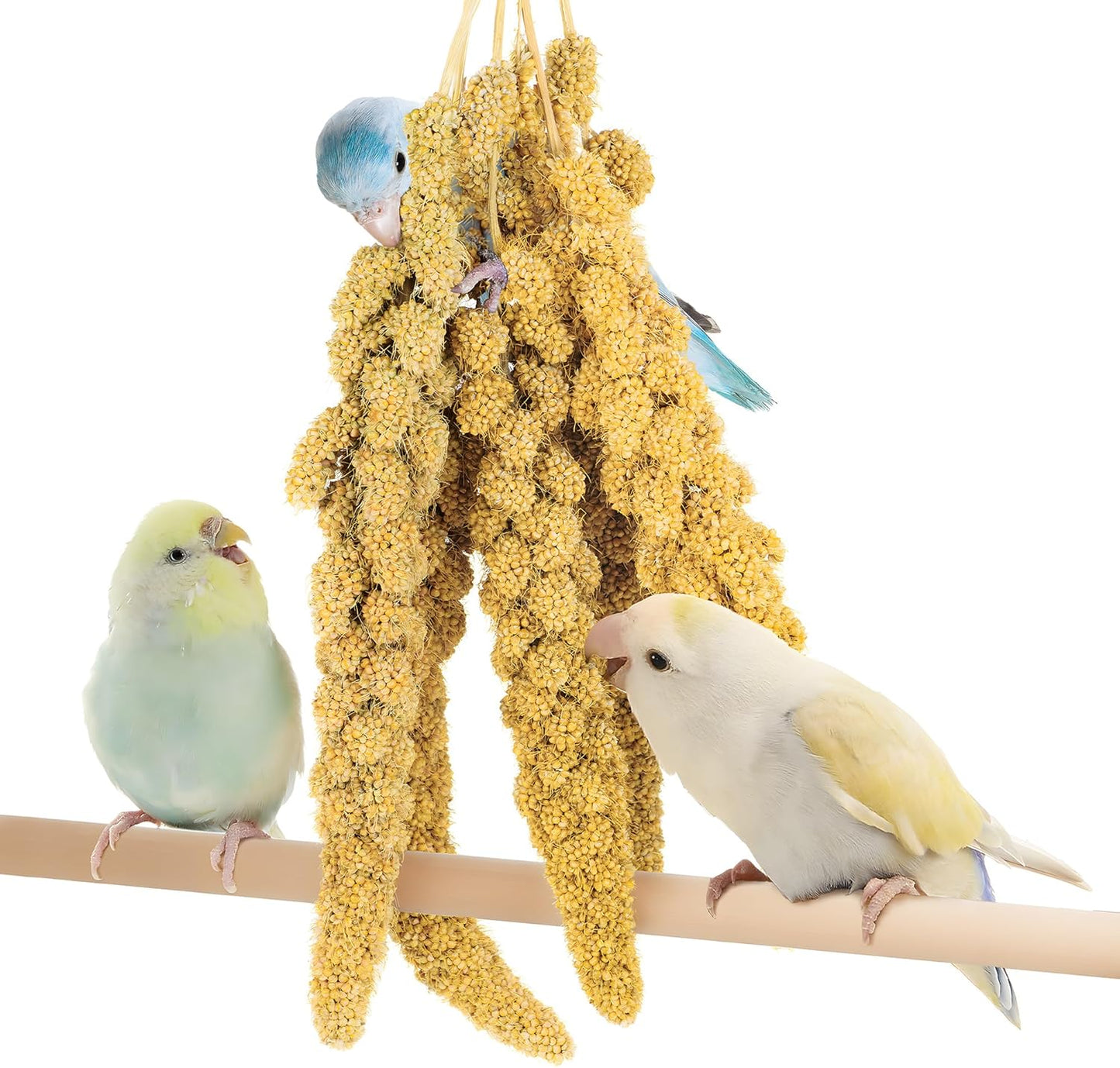 BUCATSTATE 2.2lbs Millet for Birds, Sun-Dried Parakeet Food for Parrot, Budgie, Cockatiel, Finches, Lovebird, GMO-Free Parakeet Treats (2.2lbs)
