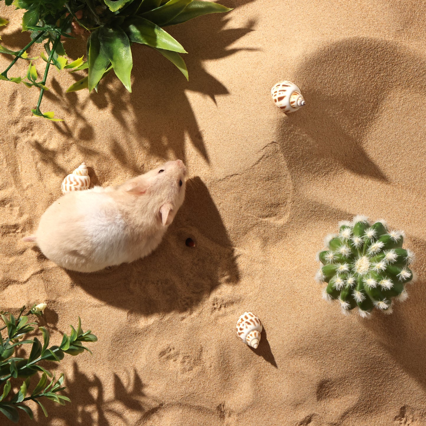BUCATSTATE Hamster Bath Sand