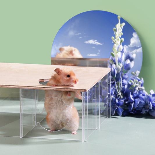 BUCATSTATE Acrylic Hamster Hideout 3-Chamber