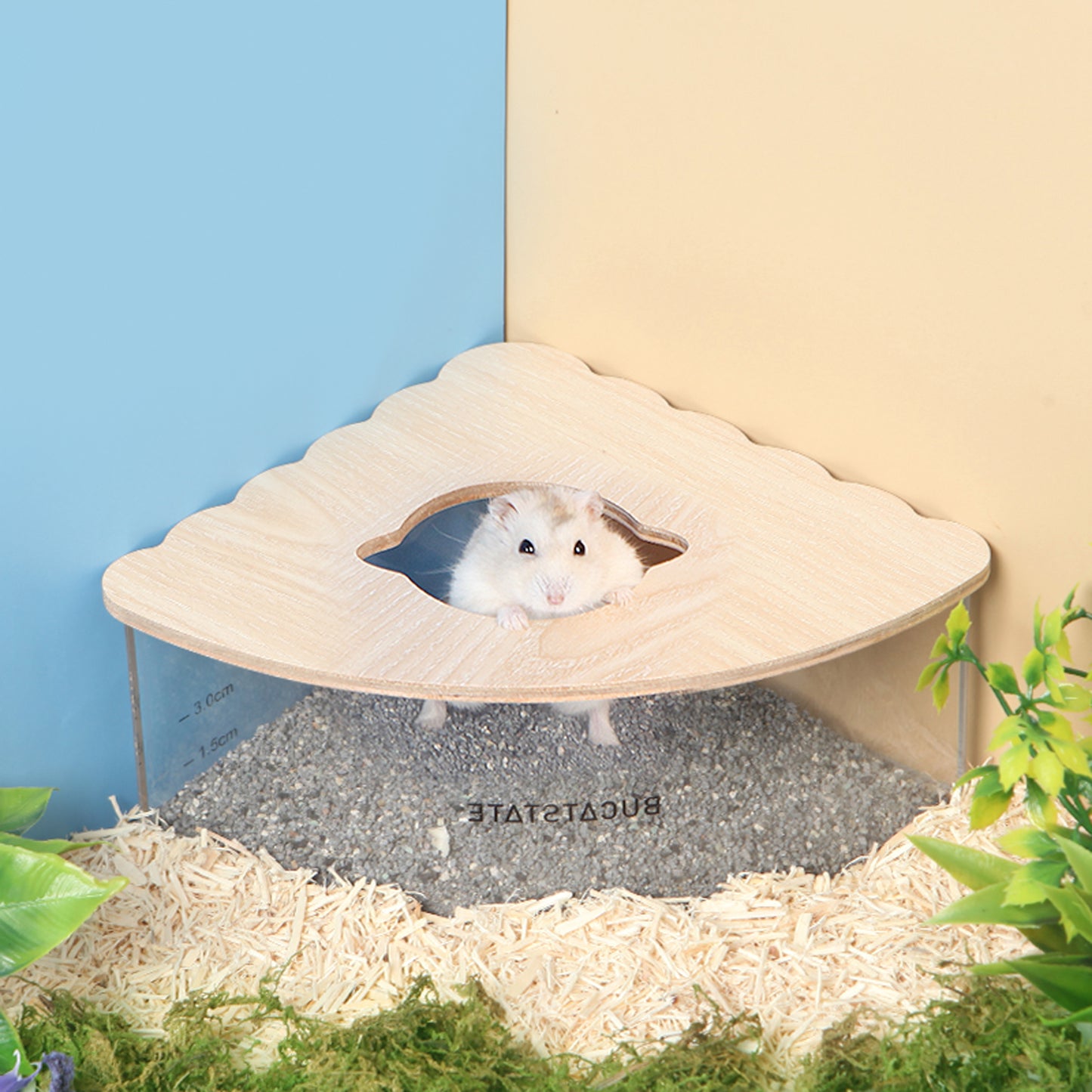 BUCATSTATE Hamster Sand Bath Container Acrylic with Ladder