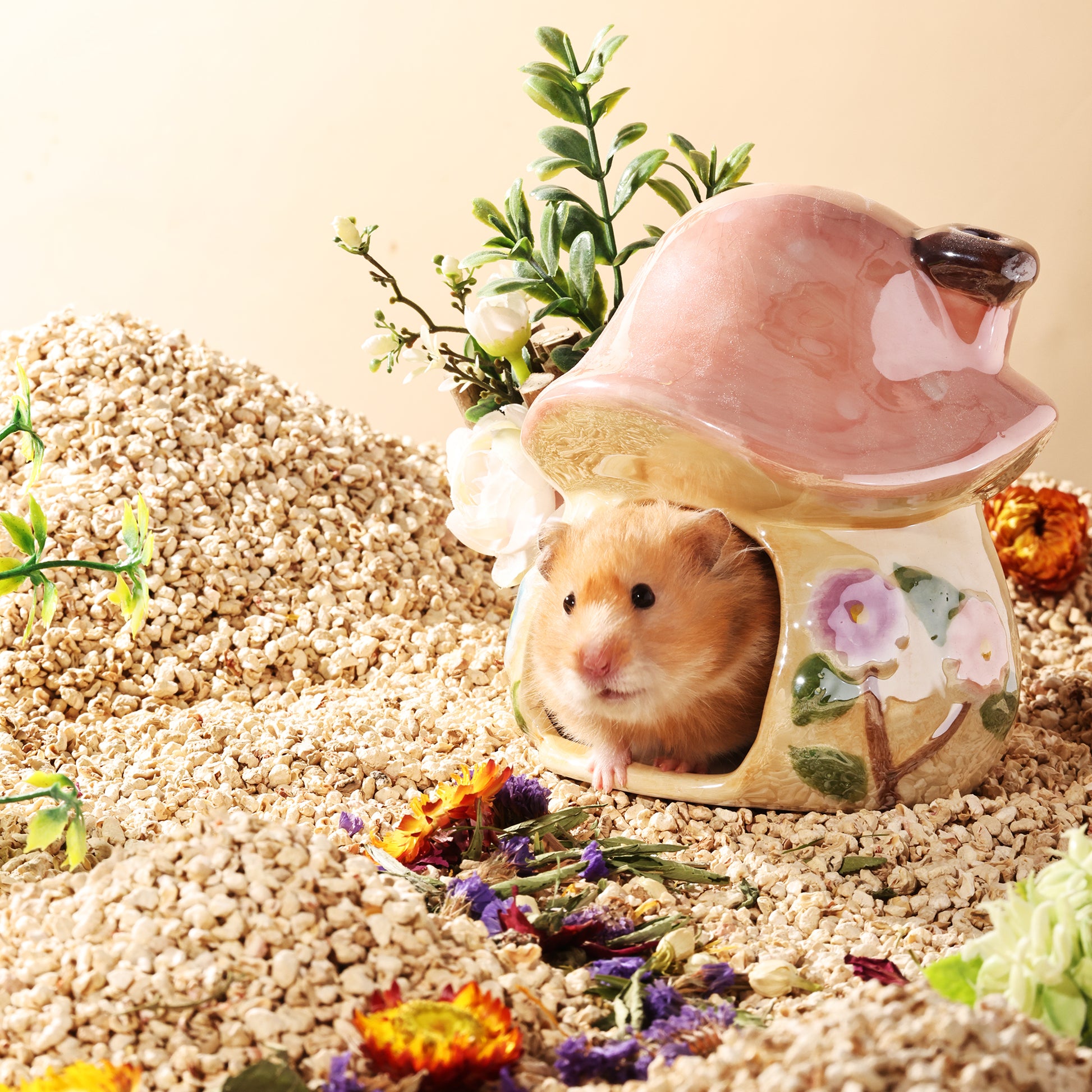 Corn cob bedding for hamsters Clearance