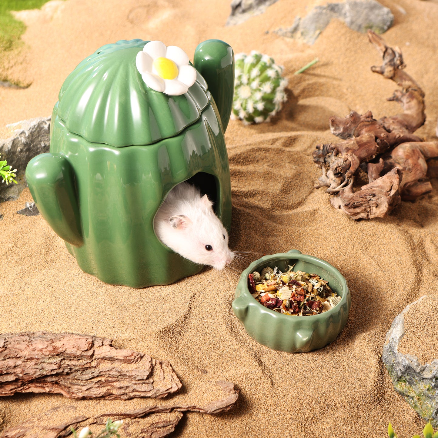 BUCATSTATE Cactus Series Ceramic Hamster Supplies